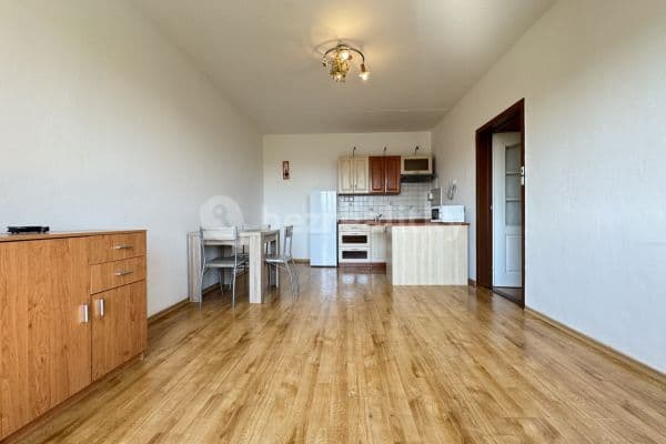 1 bedroom with open-plan kitchen flat for sale, 43 m², Sídliště, 