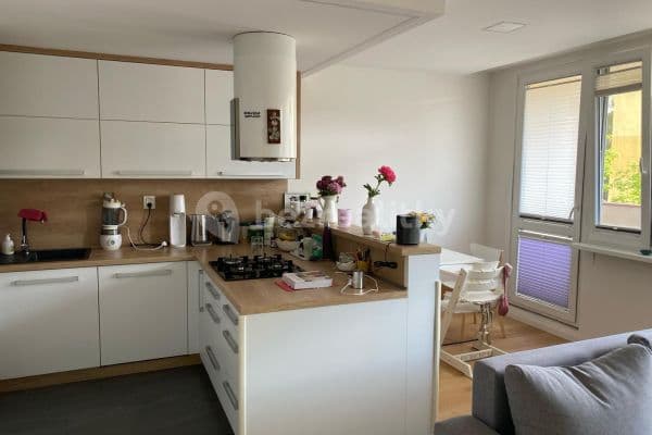 2 bedroom with open-plan kitchen flat to rent, 89 m², Nad Ohradou, Praha