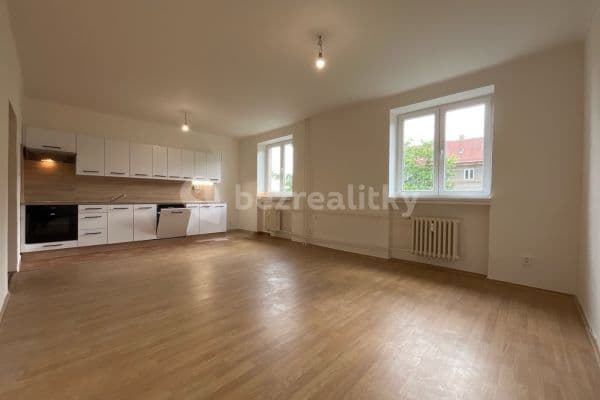 2 bedroom with open-plan kitchen flat to rent, 66 m², Dělnická, 