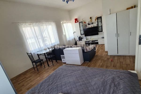 1 bedroom flat to rent, 42 m², Palmetová, Hlavní město Praha