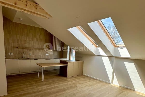 1 bedroom with open-plan kitchen flat to rent, 67 m², Šmejkalova, Brno
