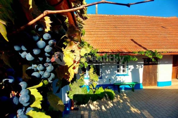 recreational property to rent, 0 m², Vrbice