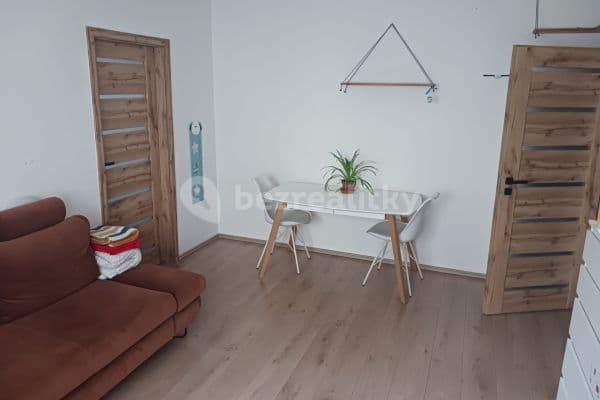 2 bedroom flat to rent, 52 m², Tělocvičná, Plzeň, Plzeňský Region
