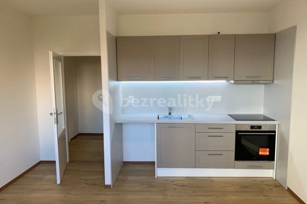 1 bedroom with open-plan kitchen flat to rent, 45 m², Dobiášova, Liberec