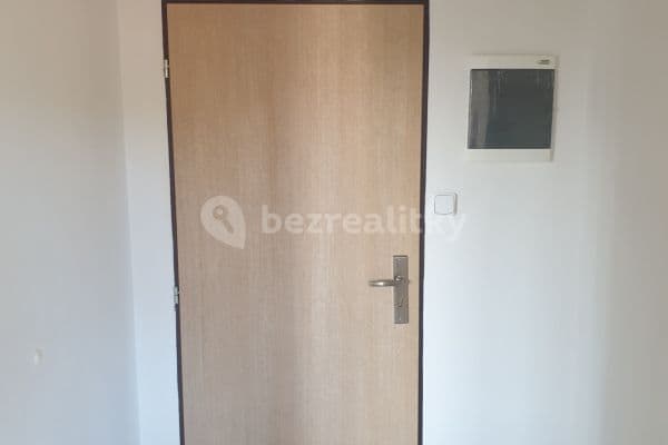 1 bedroom with open-plan kitchen flat to rent, 41 m², Libeř