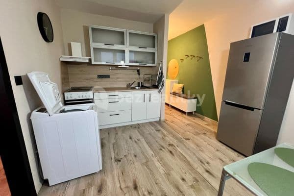 1 bedroom flat to rent, 35 m², Rabasova, Ústí nad Labem
