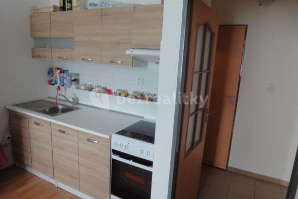 1 bedroom with open-plan kitchen flat for sale, 45 m², Nad Stadionem, Králův Dvůr