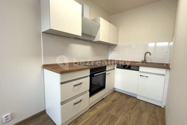 1 bedroom with open-plan kitchen flat for sale, 40 m², Krajní, Teplice, Ústecký Region