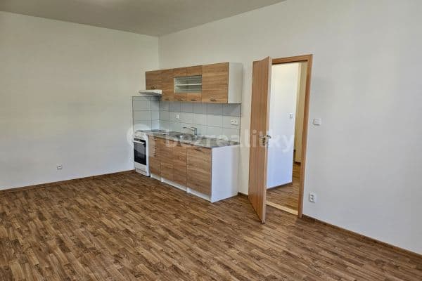 1 bedroom with open-plan kitchen flat to rent, 50 m², Veletržní, Prague, Prague