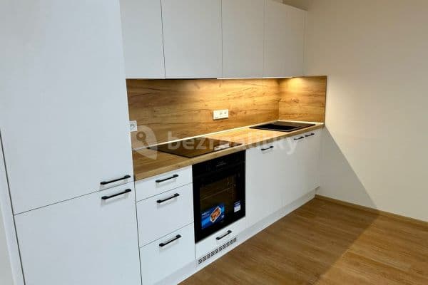 1 bedroom with open-plan kitchen flat to rent, 50 m², Zengrova, Kolín, Středočeský Region