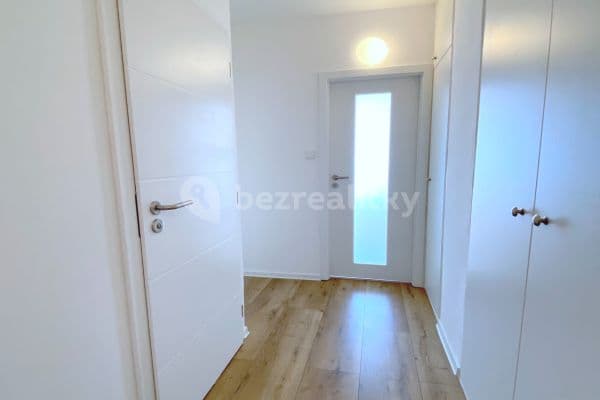 1 bedroom with open-plan kitchen flat to rent, 45 m², Plickova, Praha