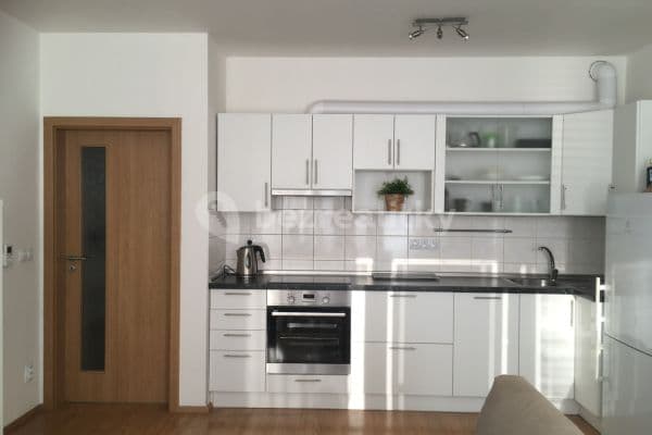1 bedroom with open-plan kitchen flat to rent, 65 m², Frýdecká, Hlavní město Praha