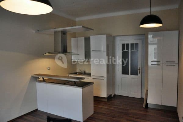 1 bedroom with open-plan kitchen flat to rent, 47 m², Na spojce, Praha
