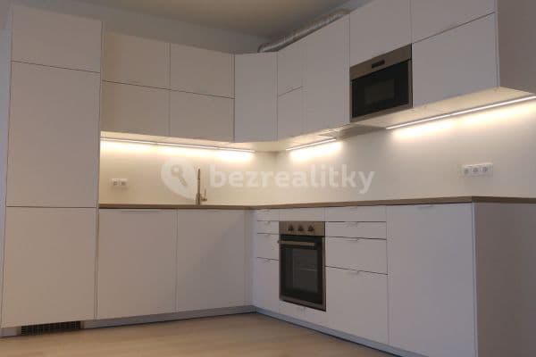1 bedroom with open-plan kitchen flat to rent, 56 m², Štěrbova, Chýně