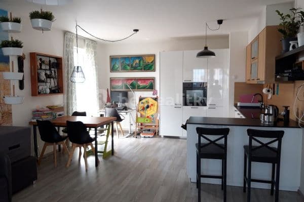 1 bedroom with open-plan kitchen flat to rent, 64 m², Mantovská, Hlavní město Praha