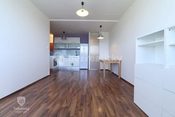 1 bedroom with open-plan kitchen flat to rent, 42 m², Brdičkova, 