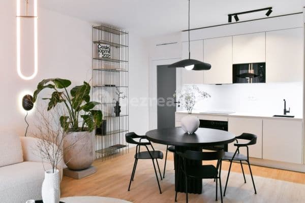 1 bedroom with open-plan kitchen flat to rent, 53 m², Nádražní, Praha