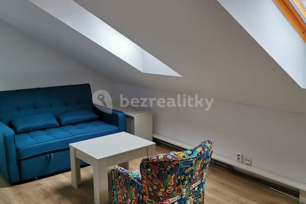 Small studio flat to rent, 27 m², Hajní, Praha