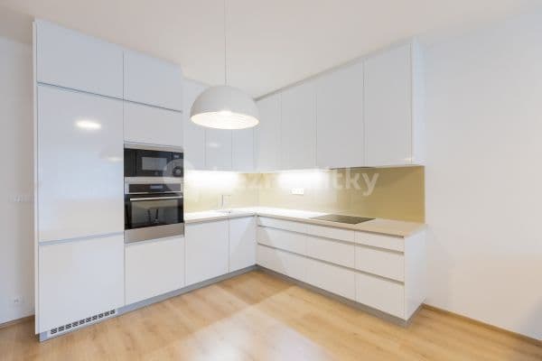 1 bedroom with open-plan kitchen flat to rent, 58 m², Fikerova, Hlavní město Praha