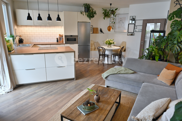 1 bedroom with open-plan kitchen flat to rent, 60 m², Rižská, Praha