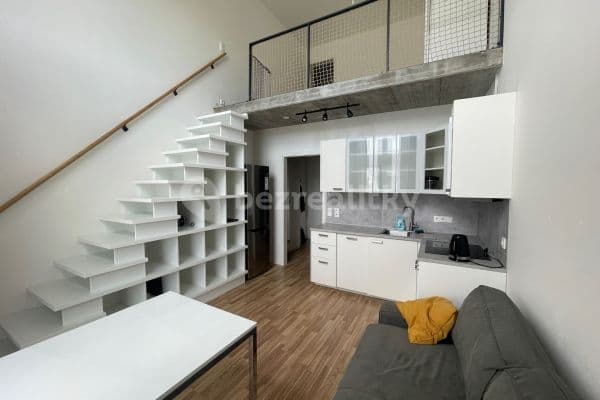 1 bedroom with open-plan kitchen flat to rent, 46 m², Novovysočanská, Praha