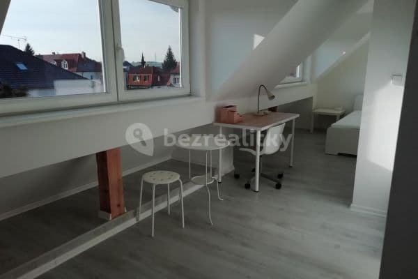 1 bedroom flat to rent, 40 m², Vysokoškolská, Praha