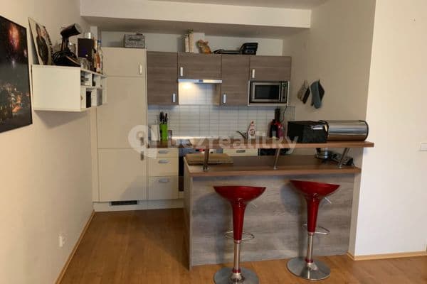 1 bedroom with open-plan kitchen flat to rent, 53 m², Vorařská, Hlavní město Praha
