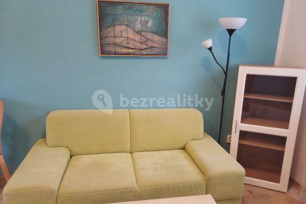 1 bedroom with open-plan kitchen flat to rent, 30 m², Venhudova, Brno