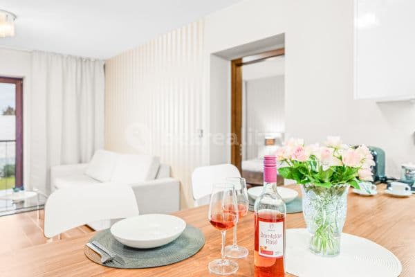 flat to rent, 52 m², U Borského parku, Plzeň, Plzeňský Region