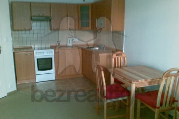 1 bedroom with open-plan kitchen flat to rent, 54 m², Bechlinska, Praha