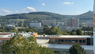 1 bedroom with open-plan kitchen flat to rent, 39 m², Nad Stráněmi, Zlín, Zlínský Region