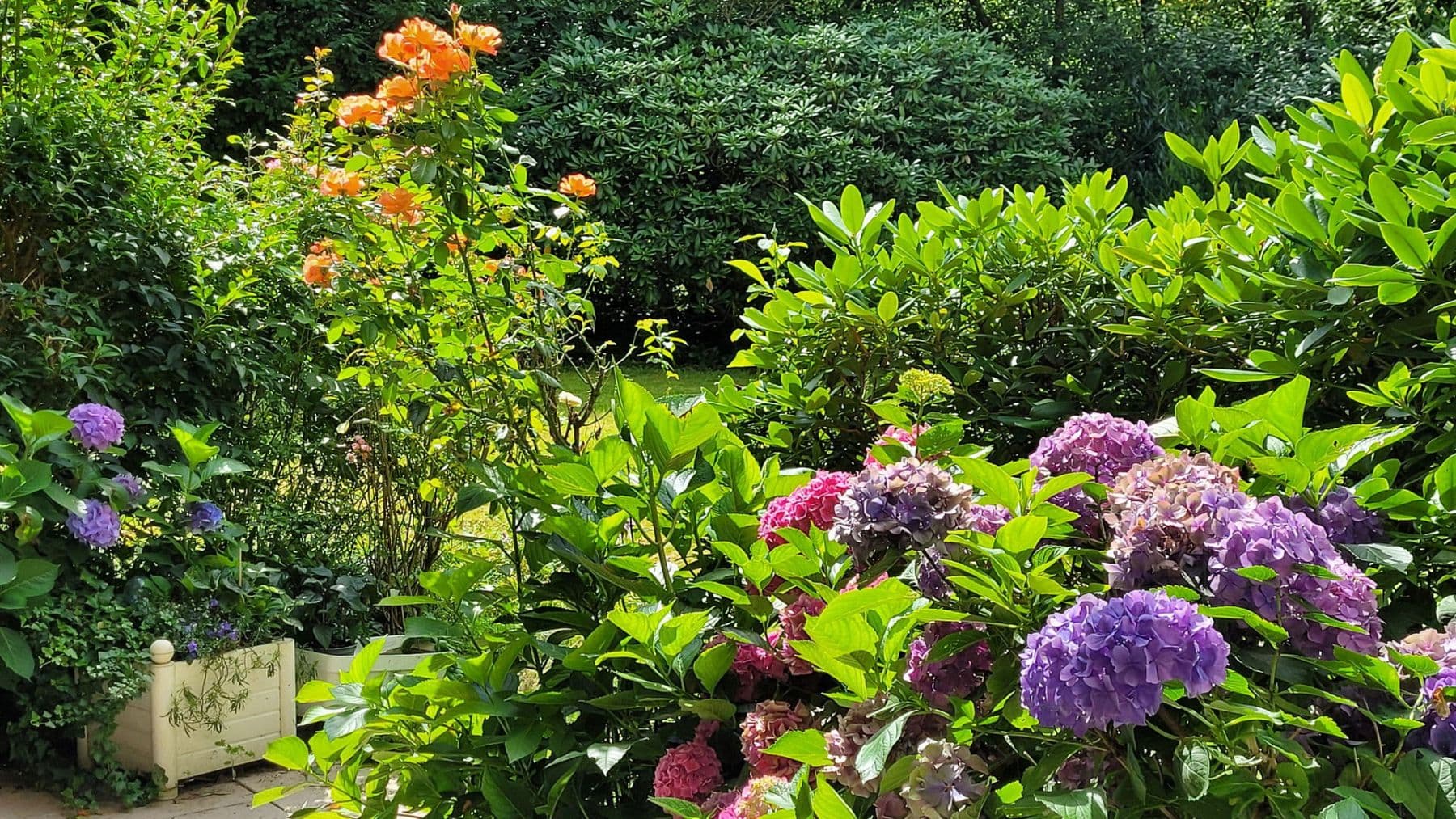 2 bedroom flat for sale, 80 m², Hamburg, Hamburg 2 bedroom flat for sale, 80 m², Hamburg, Hamburg