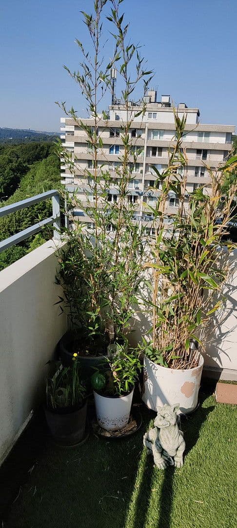 2 bedroom with open-plan kitchen flat for sale, 92 m², Theodor-Heuss-Straße 50, Wuppertal, North Rhine-Westphalia 2 bedroom with open-plan kitchen flat for sale, 92 m², Theodor-Heuss-Straße 50, Wuppertal, North Rhine-Westphalia