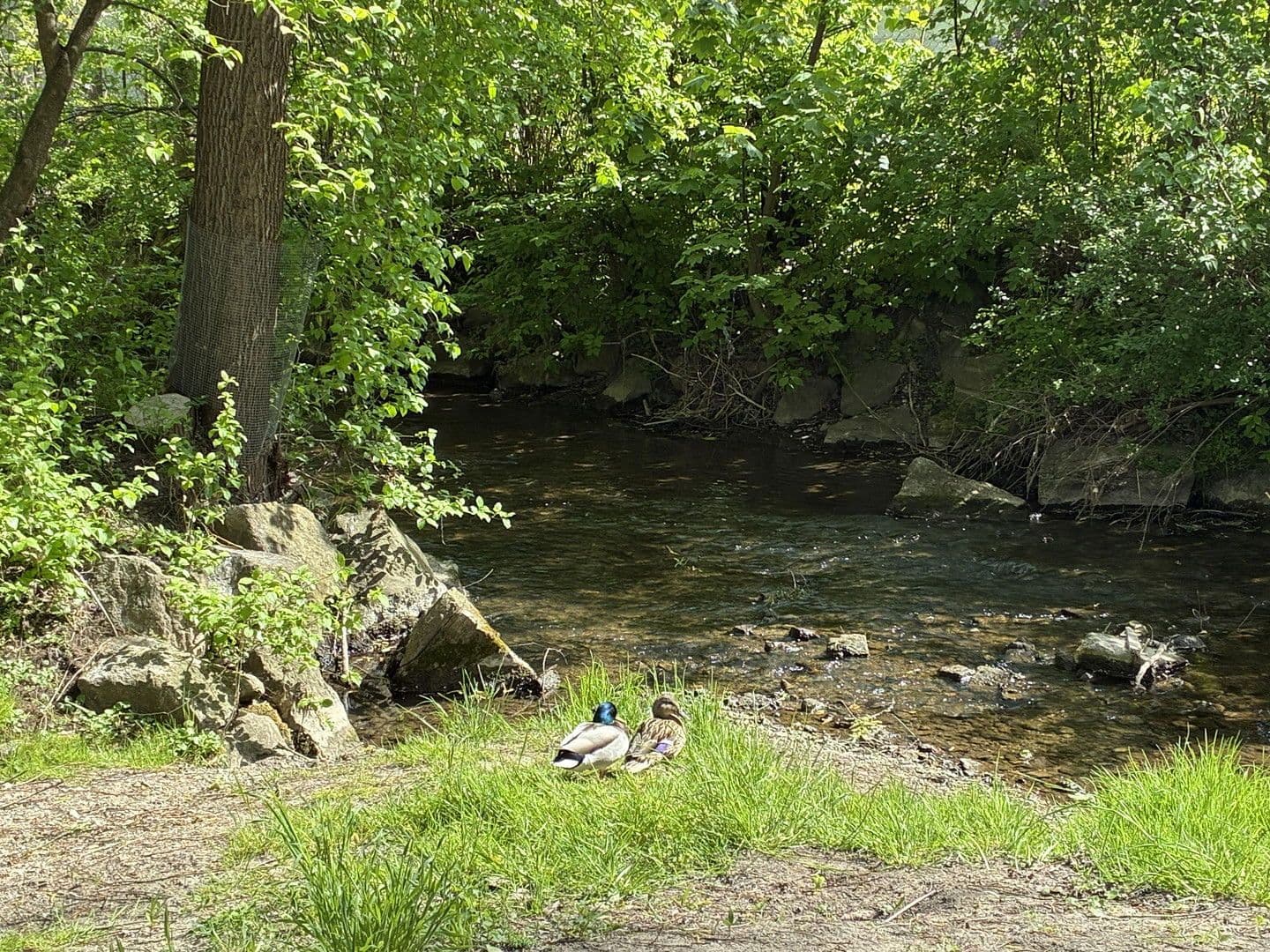 4 bedroom flat for sale, 102 m², Mering, Bavaria 4 bedroom flat for sale, 102 m², Mering, Bavaria