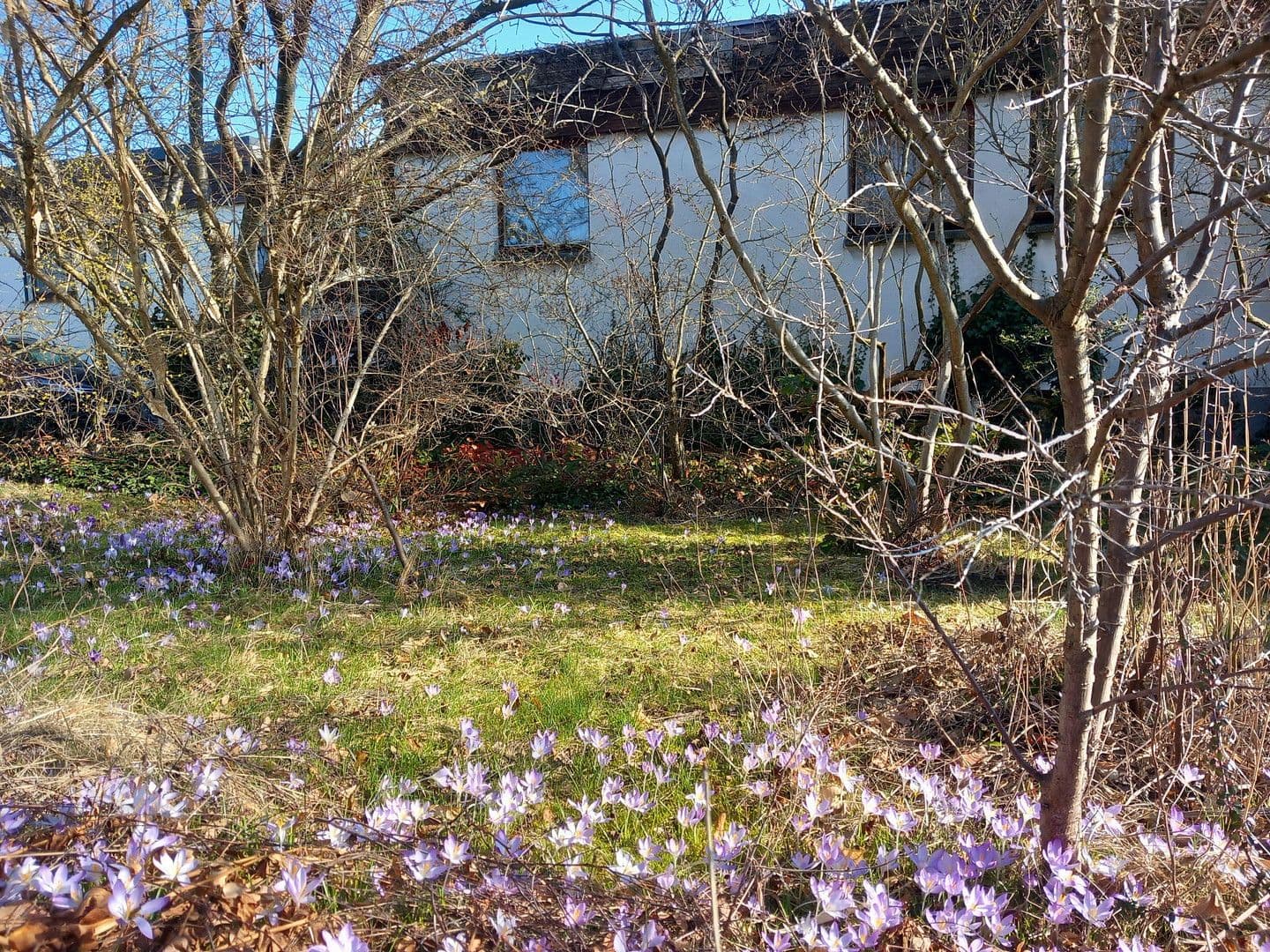 house for sale, 125 m², Claußallee 9, Freiberg, Saxony house for sale, 125 m², Claußallee 9, Freiberg, Saxony