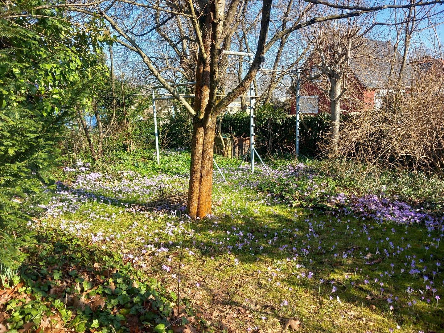 house for sale, 125 m², Claußallee 9, Freiberg, Saxony house for sale, 125 m², Claußallee 9, Freiberg, Saxony