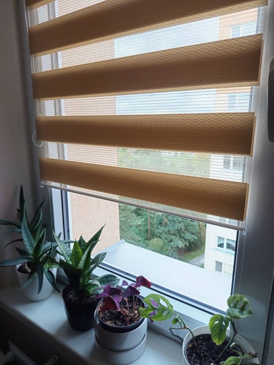 3 bedroom flat for sale, 65 m², Pavlouskova, Ostrava, Moravskoslezský Region 3 bedroom flat for sale, 65 m², Pavlouskova, Ostrava, Moravskoslezský Region