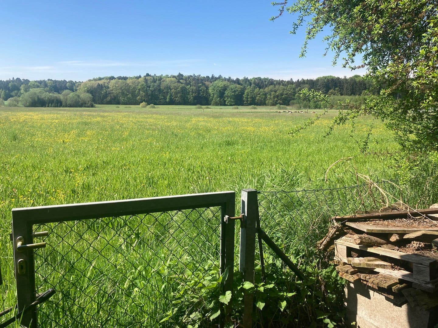 house for sale, 213 m², Jägersteig 11, Schrobenhausen, Bavaria house for sale, 213 m², Jägersteig 11, Schrobenhausen, Bavaria