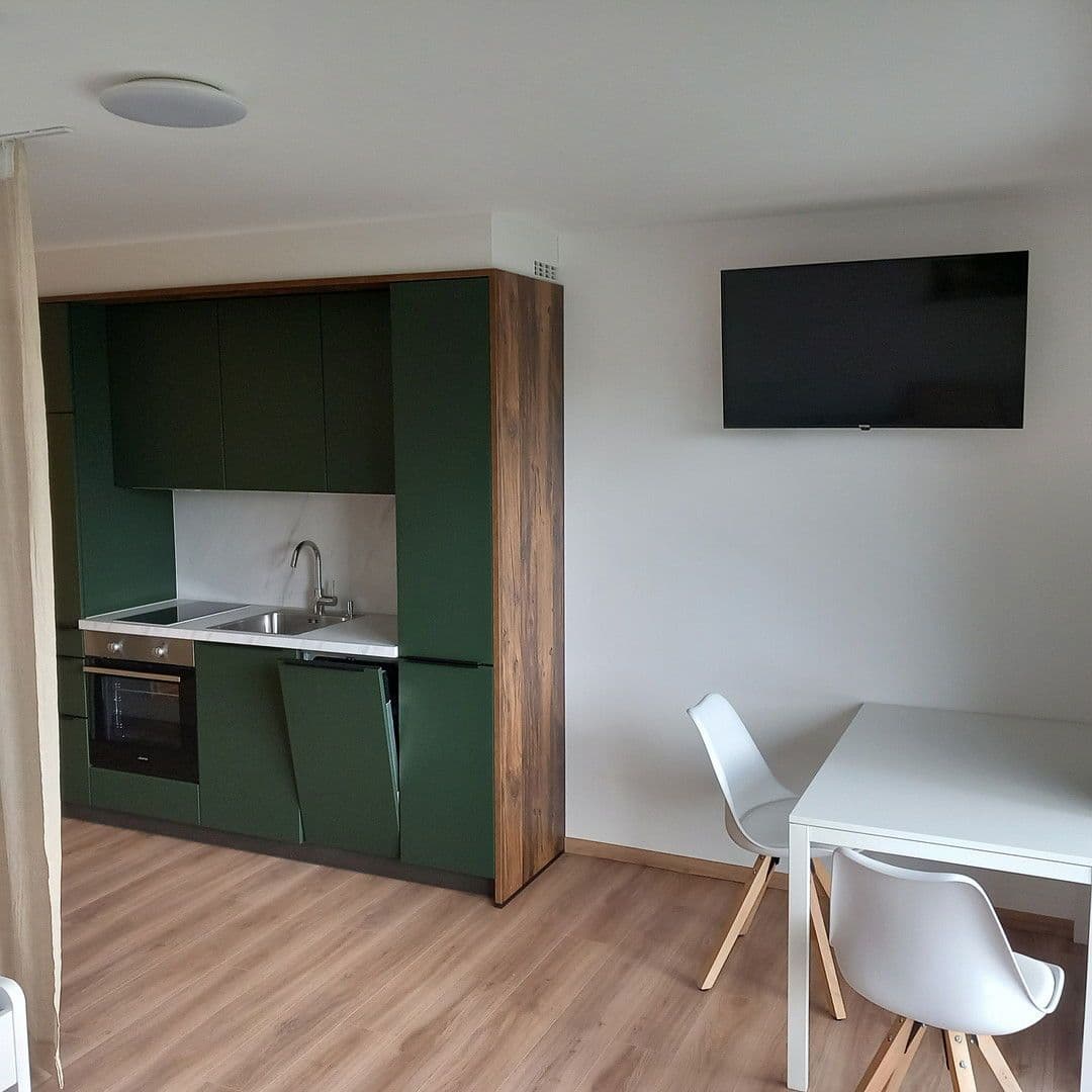 1 bedroom flat to rent, 28 m², Künzelsau, Baden-Württemberg 1 bedroom flat to rent, 28 m², Künzelsau, Baden-Württemberg