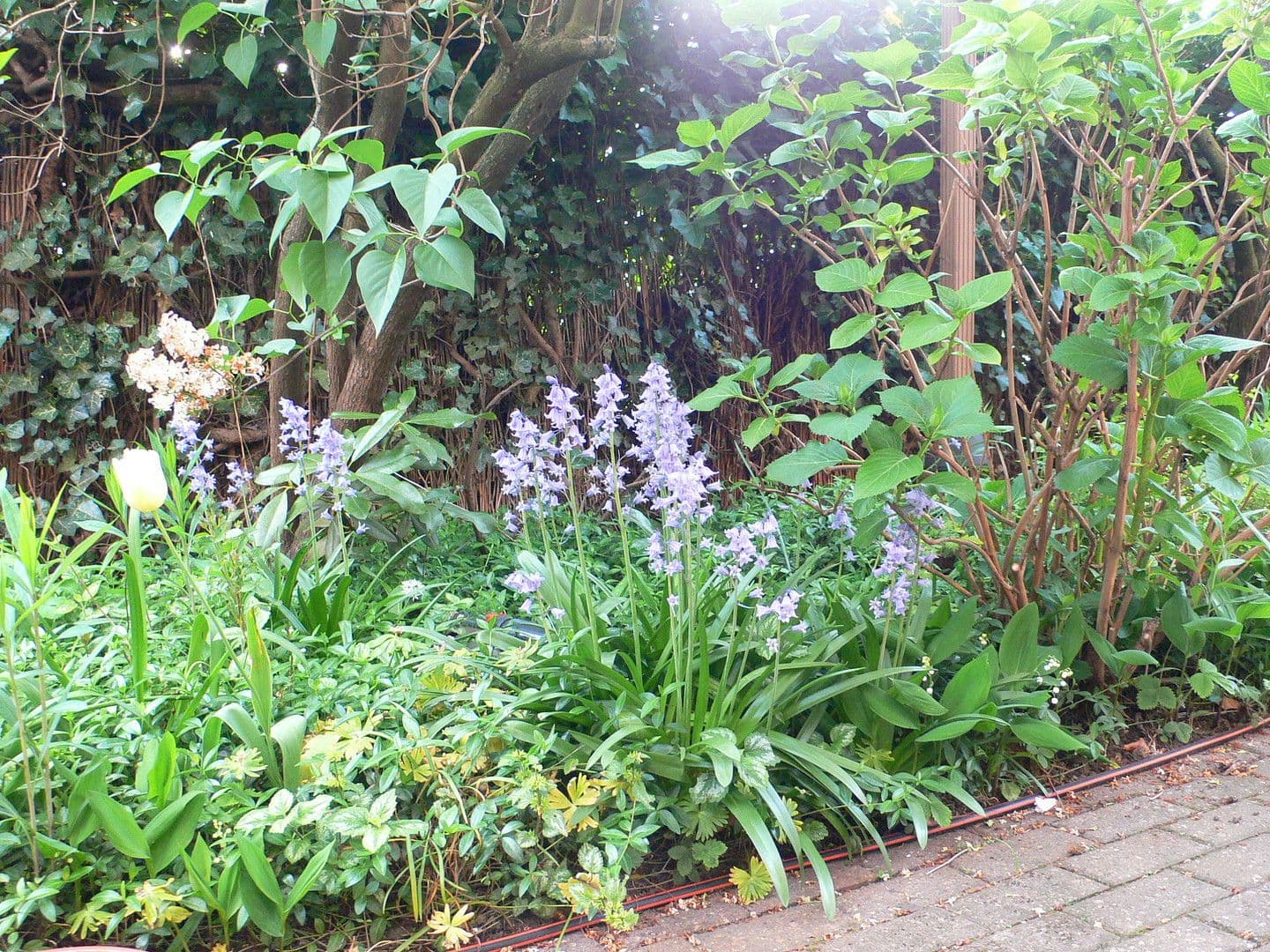 1 bedroom with open-plan kitchen flat to rent, 56 m², Mönchengladbach, North Rhine-Westphalia 1 bedroom with open-plan kitchen flat to rent, 56 m², Mönchengladbach, North Rhine-Westphalia