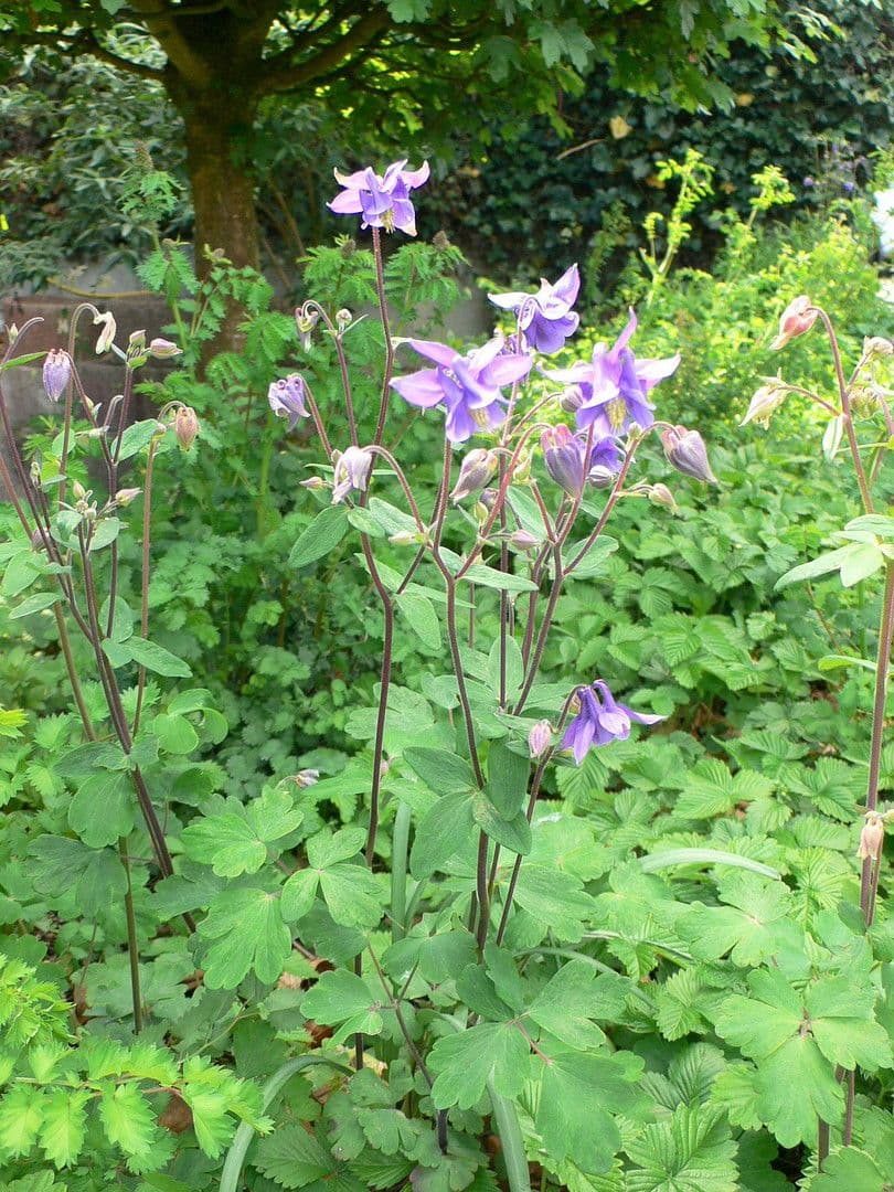 1 bedroom with open-plan kitchen flat to rent, 56 m², Mönchengladbach, North Rhine-Westphalia 1 bedroom with open-plan kitchen flat to rent, 56 m², Mönchengladbach, North Rhine-Westphalia