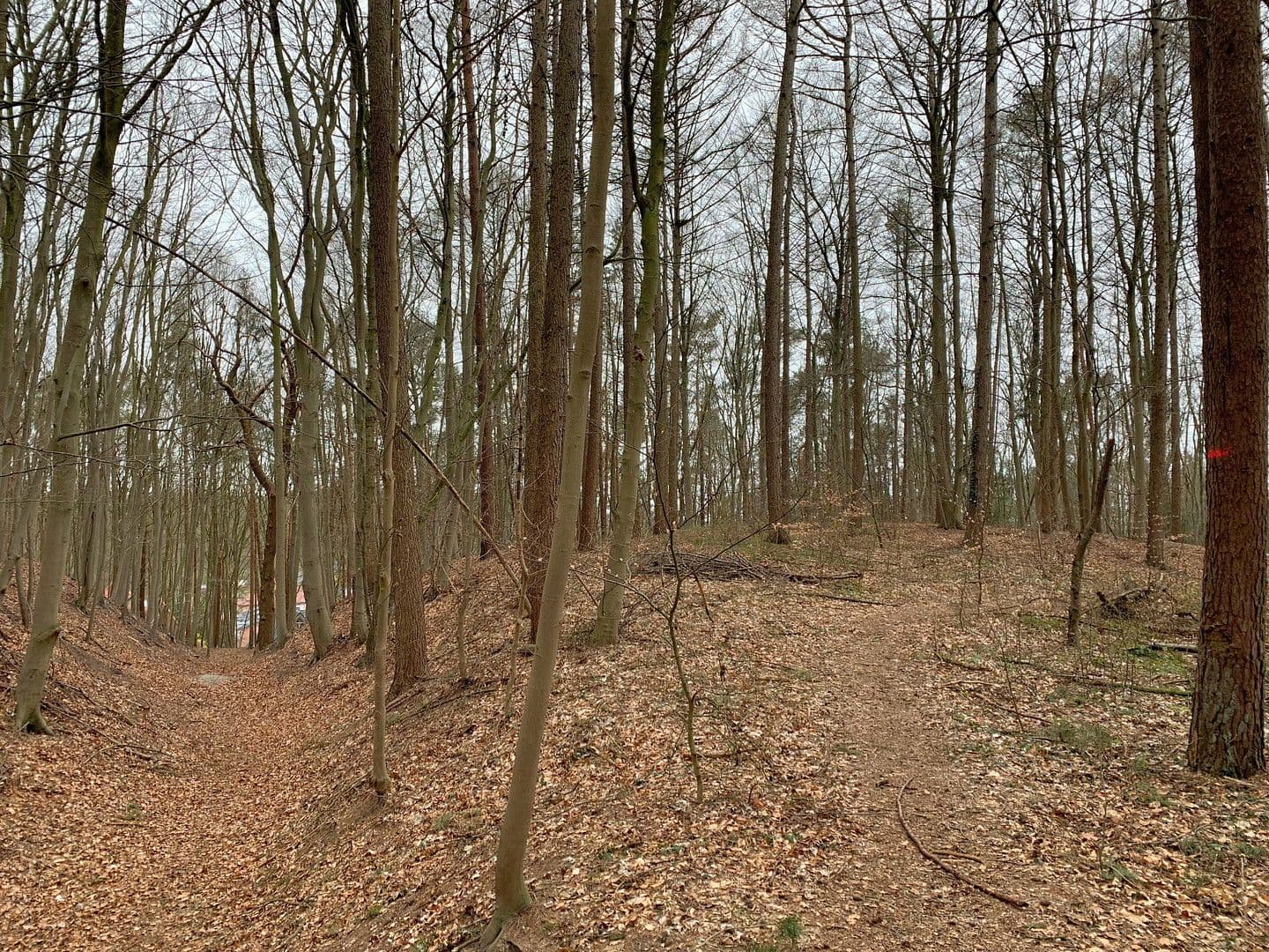 4 bedroom flat to rent, 96 m², Trift 5A, Geesthacht, Schleswig-Holstein 4 bedroom flat to rent, 96 m², Trift 5A, Geesthacht, Schleswig-Holstein