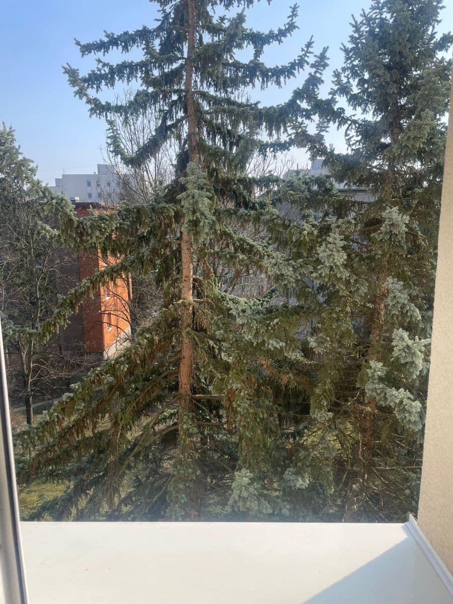 1 bedroom flat to rent, 36 m², Pod Lipami, Prague, Prague 1 bedroom flat to rent, 36 m², Pod Lipami, Prague, Prague