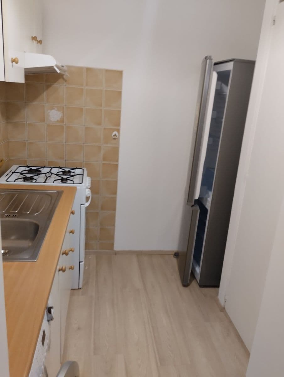 1 bedroom with open-plan kitchen flat to rent, 42 m², Anežky Malé, Prague, Prague 1 bedroom with open-plan kitchen flat to rent, 42 m², Anežky Malé, Prague, Prague