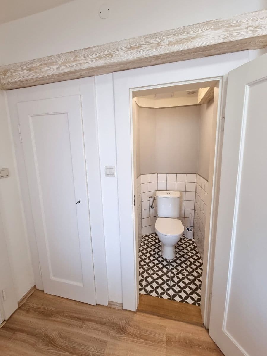 1 bedroom with open-plan kitchen flat to rent, 49 m², Levá, Prague, Prague 1 bedroom with open-plan kitchen flat to rent, 49 m², Levá, Prague, Prague