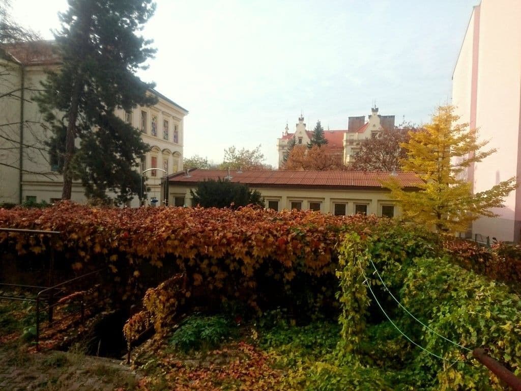 1 bedroom with open-plan kitchen flat to rent, 49 m², Levá, Prague, Prague 1 bedroom with open-plan kitchen flat to rent, 49 m², Levá, Prague, Prague