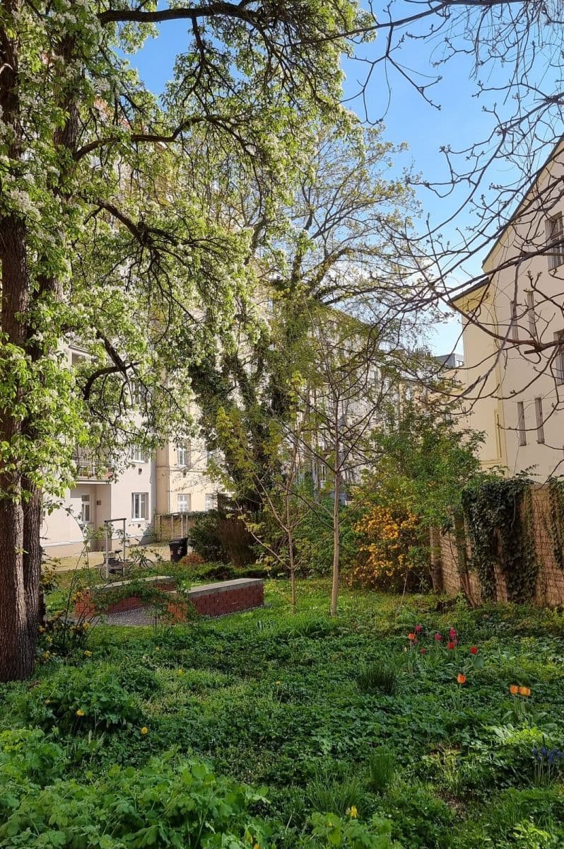 1 bedroom with open-plan kitchen flat to rent, 49 m², Levá, Prague, Prague 1 bedroom with open-plan kitchen flat to rent, 49 m², Levá, Prague, Prague