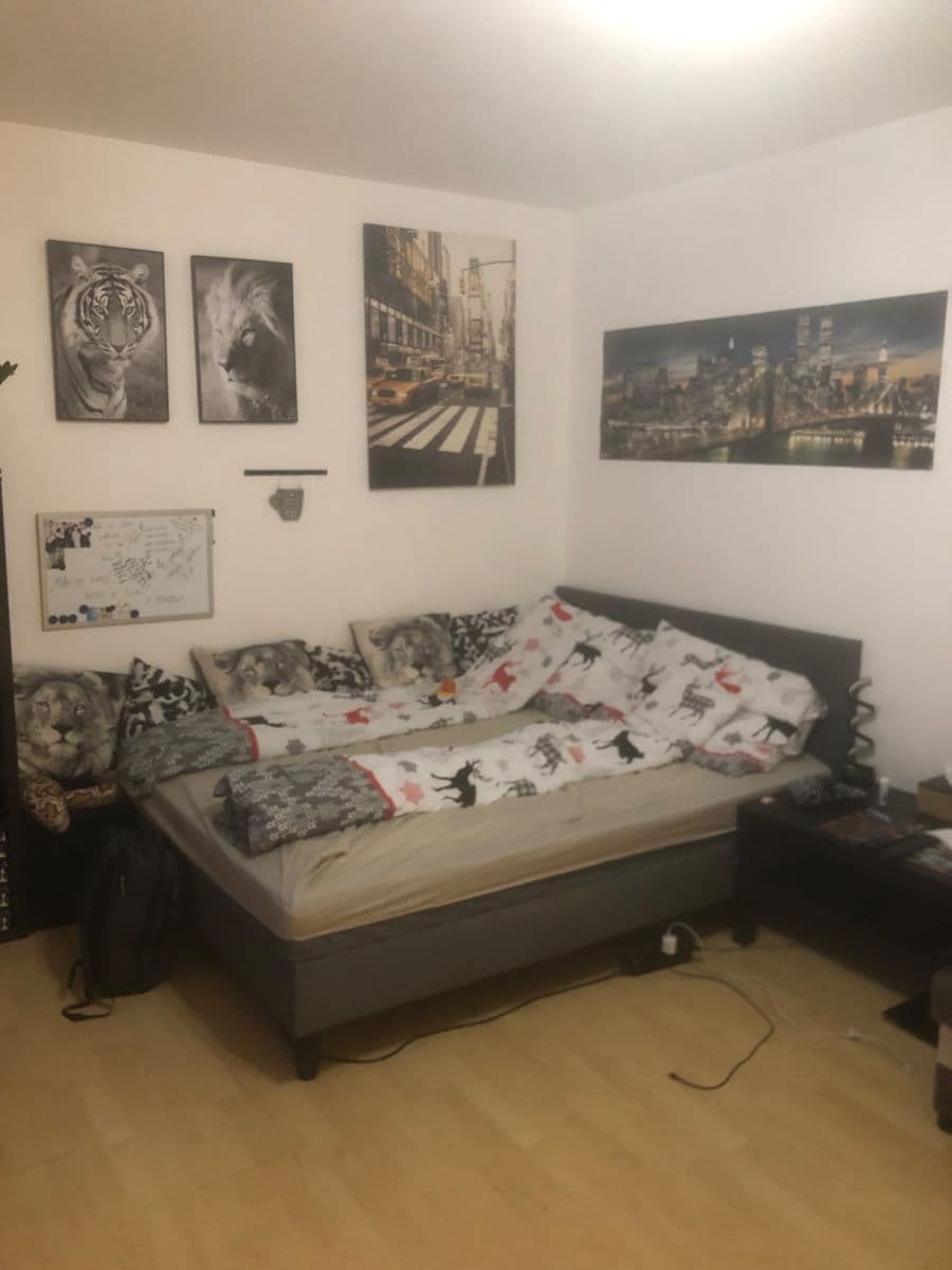 Studio flat to rent, 25 m², Podle Kačerova, Prague, Prague Studio flat to rent, 25 m², Podle Kačerova, Prague, Prague