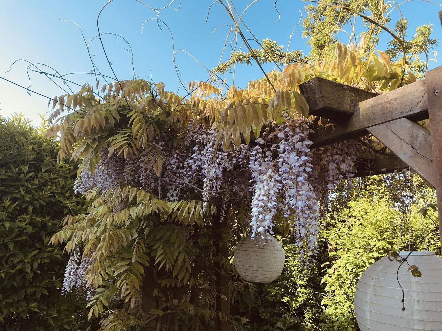 house for sale, 160 m², Wörth, Bavaria house for sale, 160 m², Wörth, Bavaria