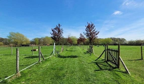 house for sale, 703 m², Niederkrüchten, North Rhine-Westphalia house for sale, 703 m², Niederkrüchten, North Rhine-Westphalia